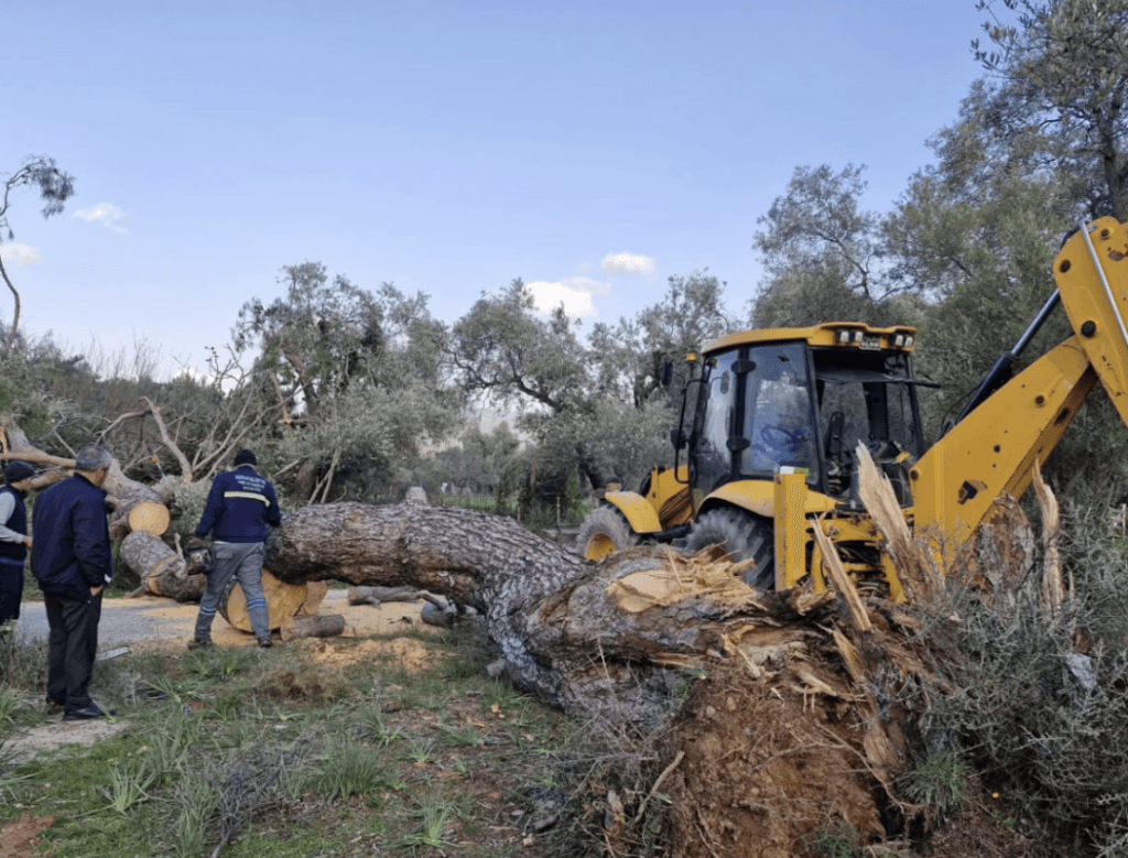 agac ekipler yolu acti