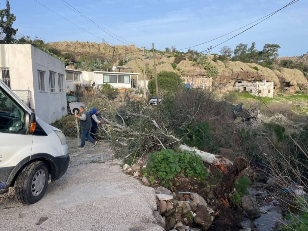 633288713 1343566864477288 706389095242824264 n