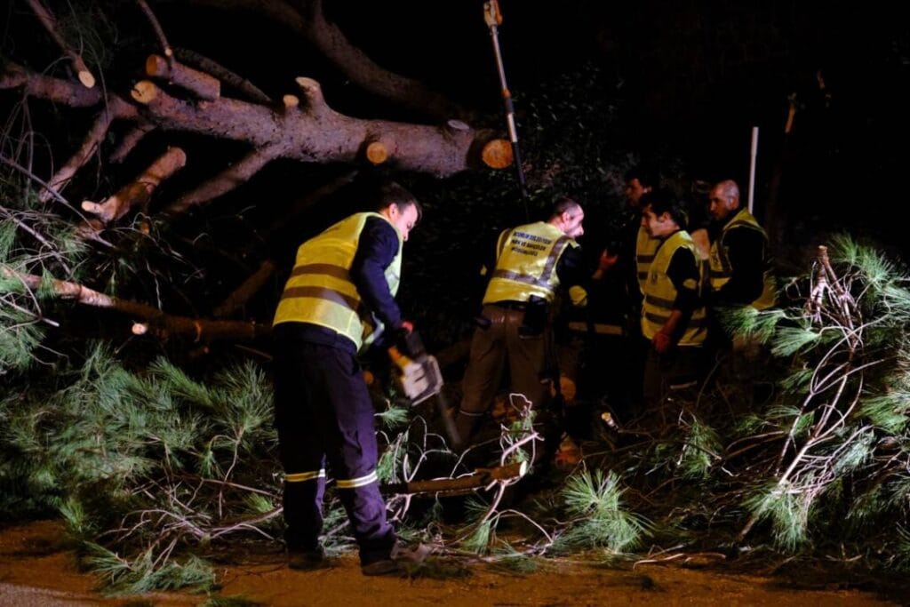 bodrum belediyesi park ve bahceler ekipleri firtinada sahadaydi 1